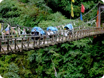 One of those shaky wooden bridges