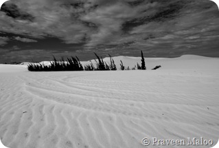 White Sand Dunes- Mui-Ne